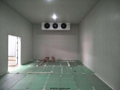 南充農(nóng)業(yè)蔬菜有限公司
